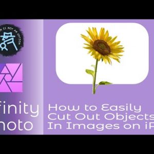 How to Easily Cut Out Objects In Images In Affinity Photo on iPad